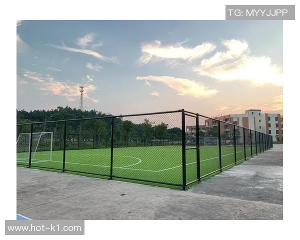 笼式足球场高度标准及其对比赛的影响分析与探讨