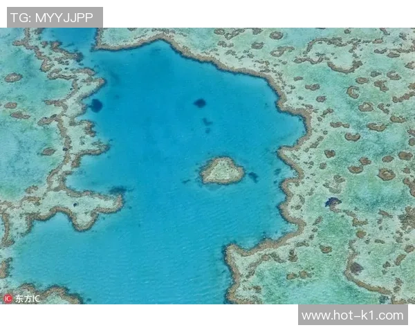 足球直播上帝视角带你领略比赛全局瞬间尽收眼底的震撼体验